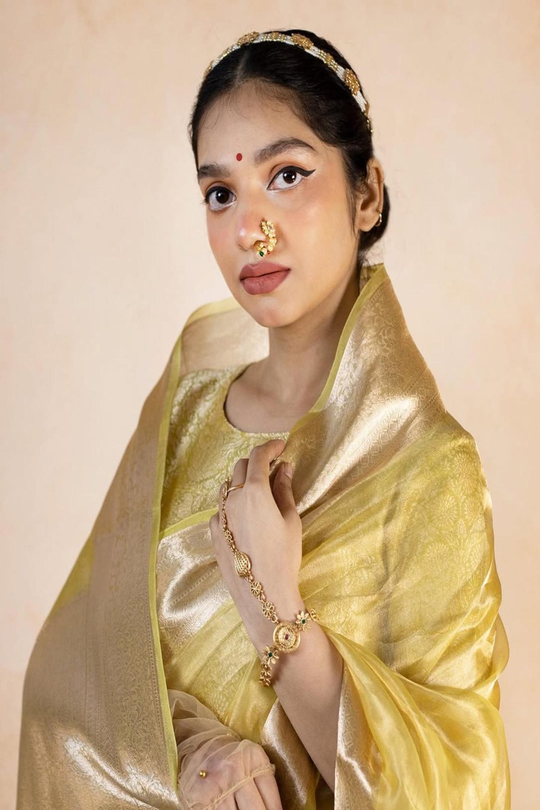 Banarasi Soft Glass Tissue Saree image 9