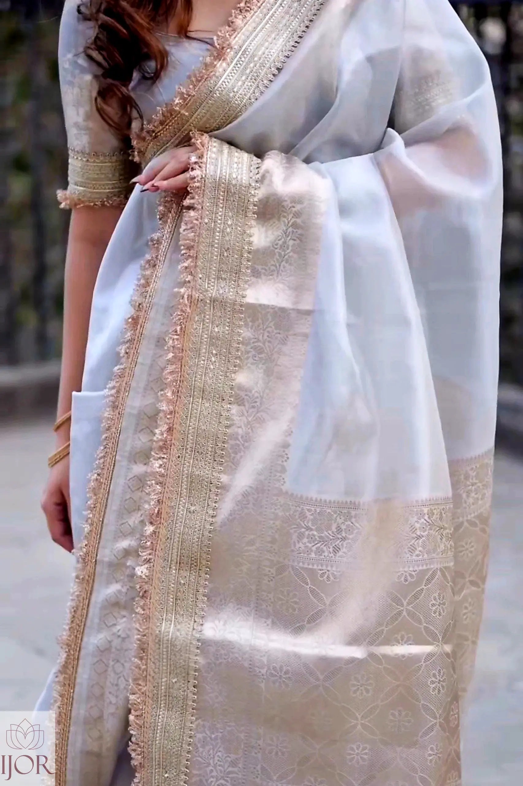 A close-up of a woman wearing a Banarasi Silver Grey Tissue Silk Saree with a wide beige and gold zari border 