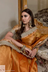 A woman wearing a Banarasi Glass Tissue Silk Saree in Rustic Gold with intricate gold embroidery and matching gold jewelry, seated on a patterned staircase indoors.