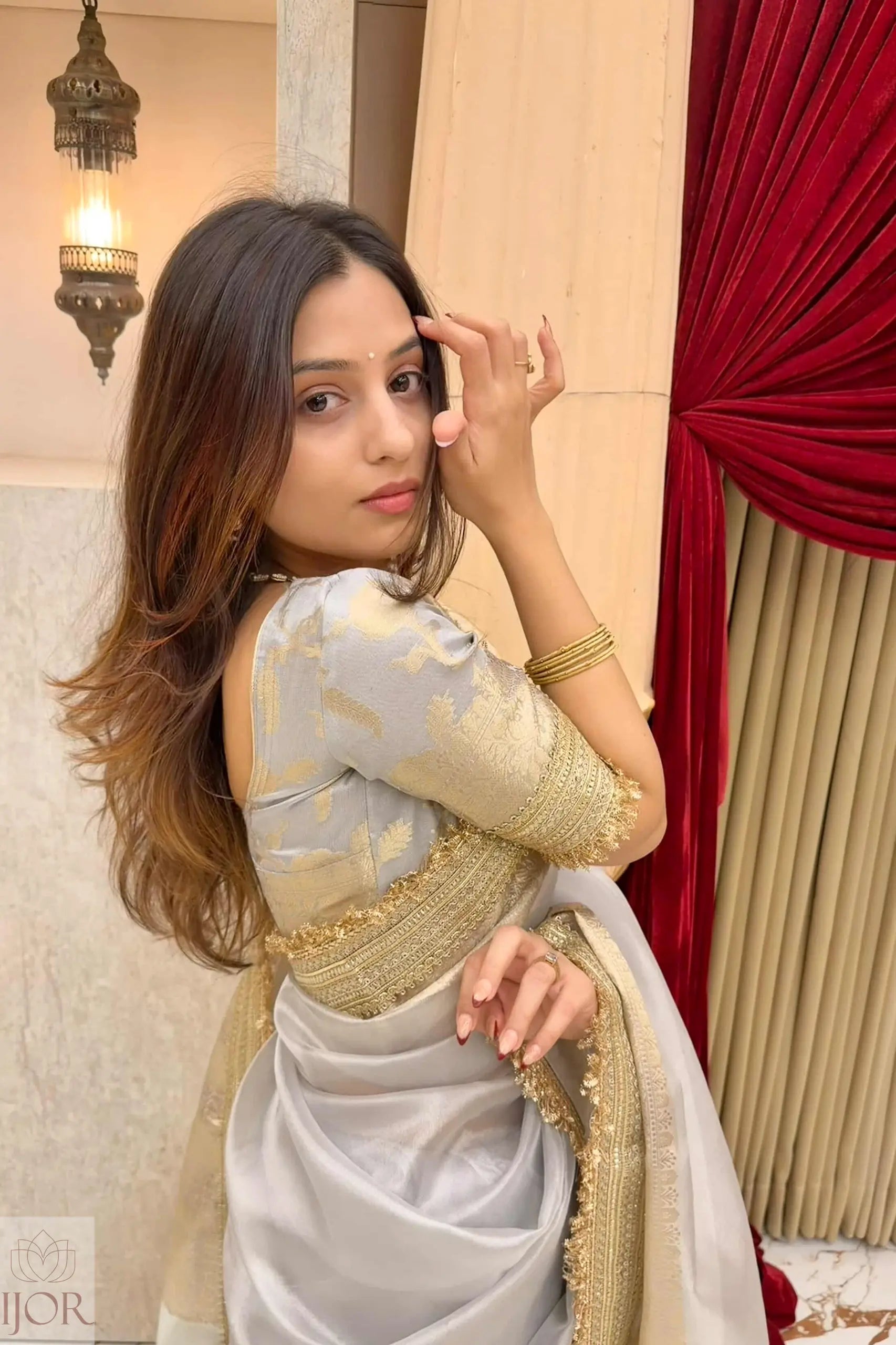 Woman in a Banarasi Silver Grey Tissue Silk Saree with gold and Grey details, standing indoors with red and beige decor.