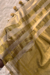 Rajasi Shaan Golden Zari Pure Tissue Cotton Saree | Cotton Saree IJOR