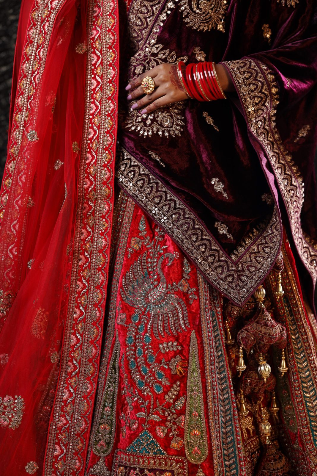 Scarlet Red Embroidered Motif Lehenga image 3