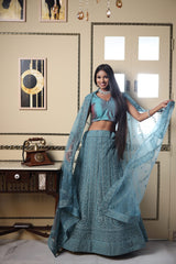Celadon Blue Embroidered Lehenga image 0